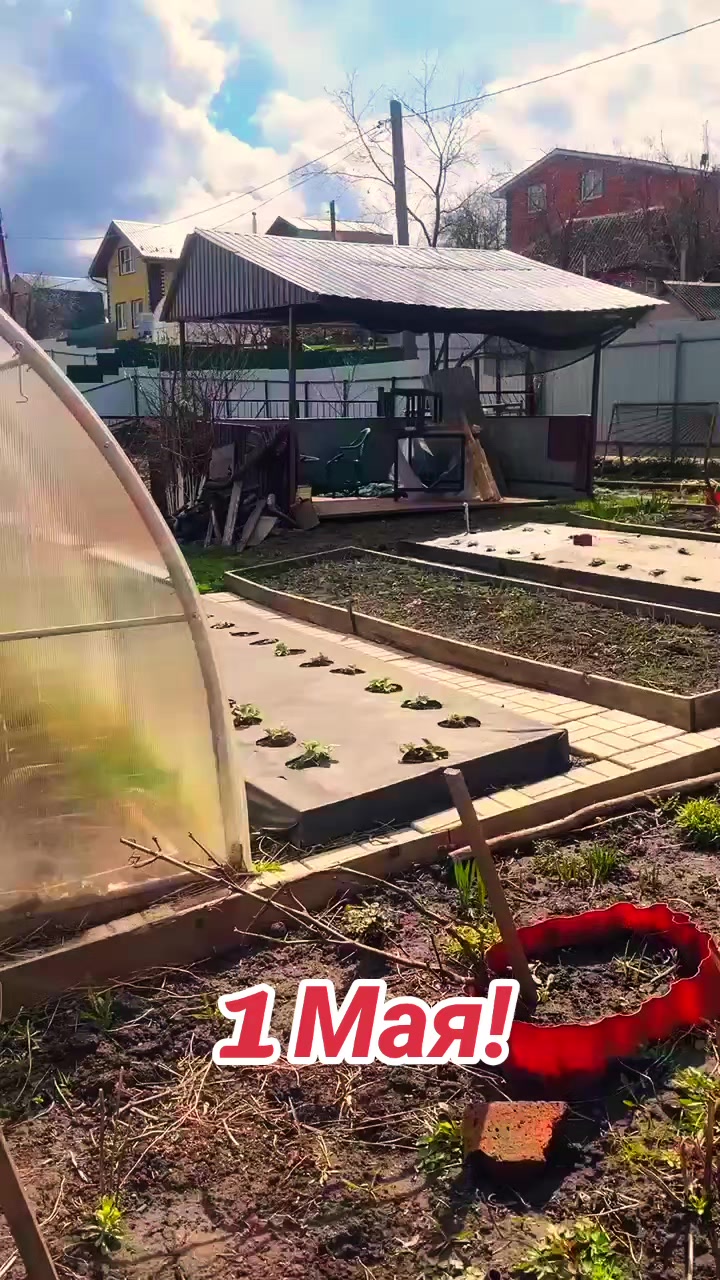 @рыжая бестия