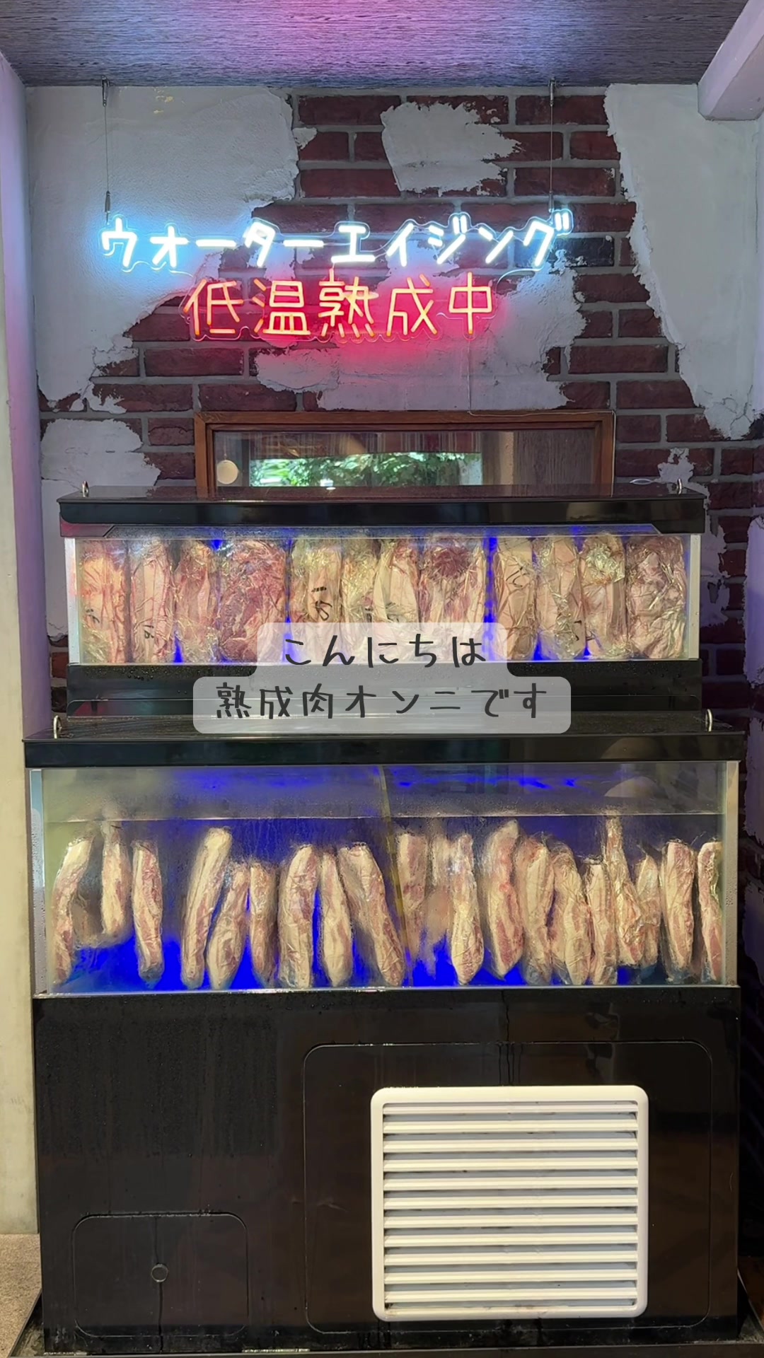 @シノクボオンニ
