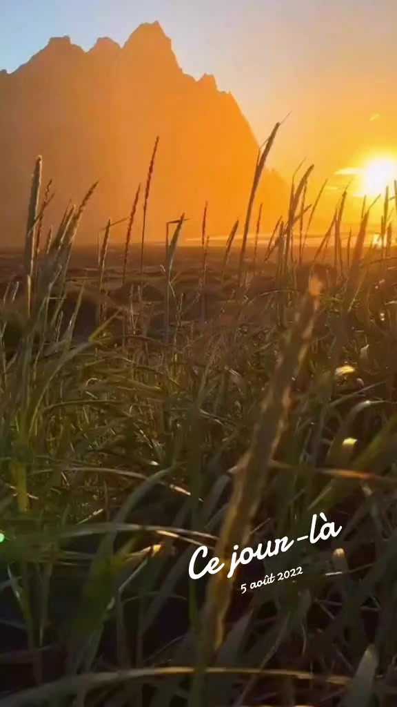 @❉✺❉االزغوانية❉✺❉