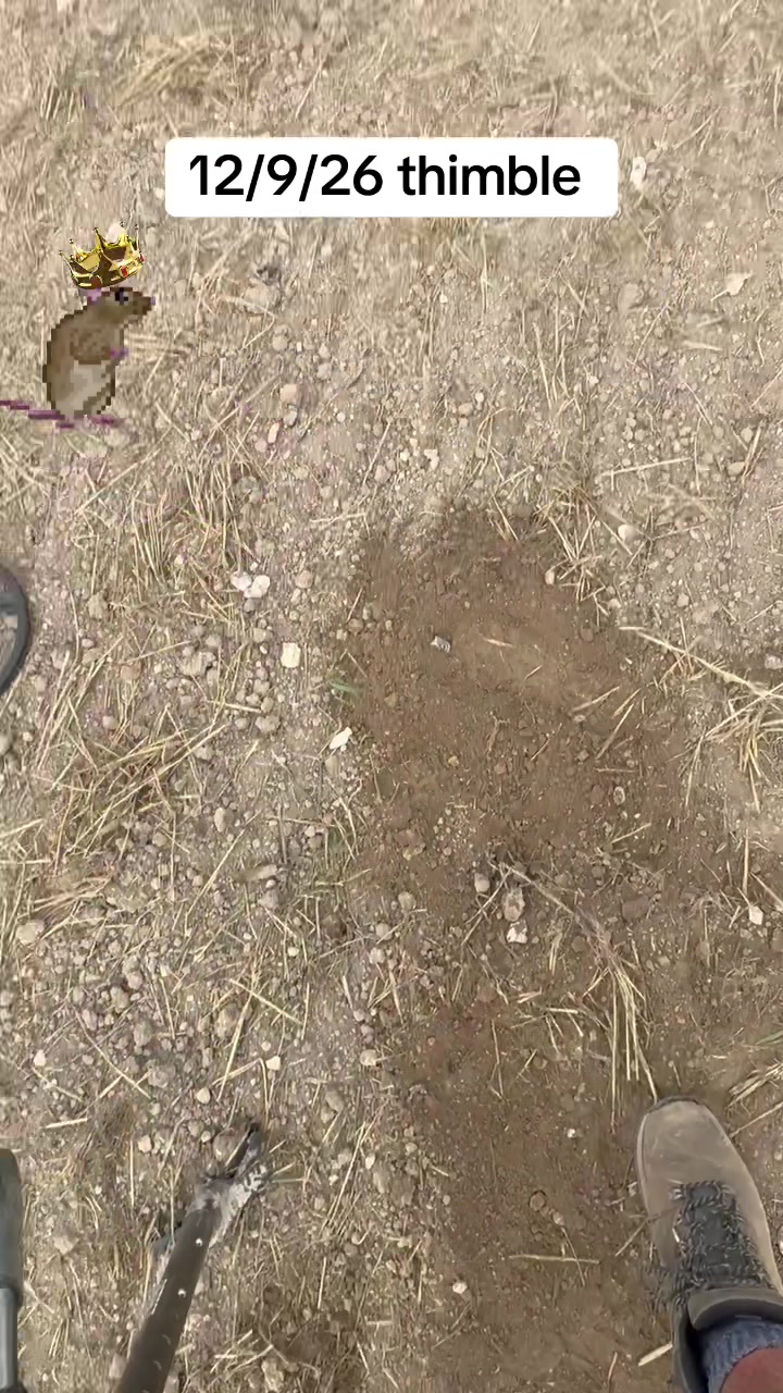 @SirKingRat