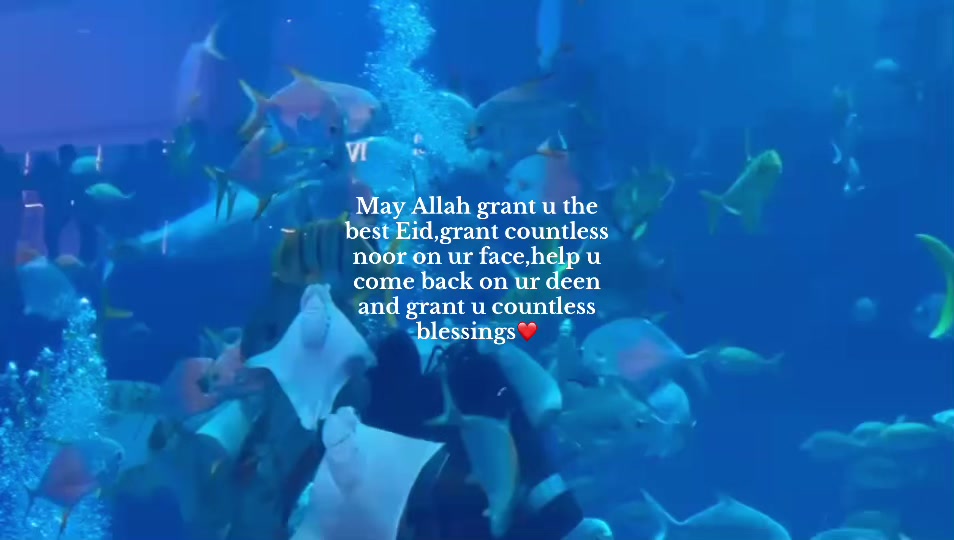@﷽