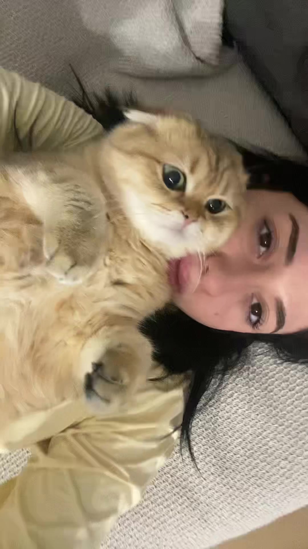 @𝓜𝓮𝓻𝓿𝓮🦢