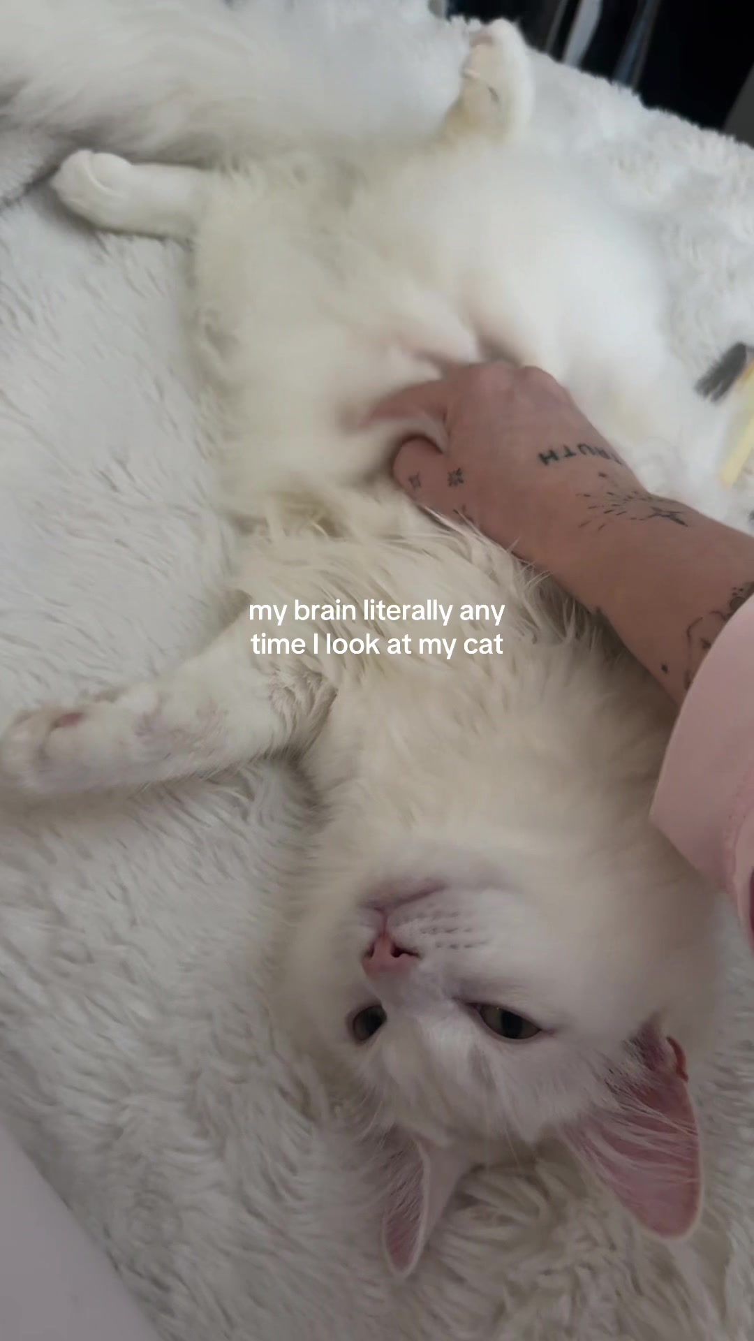 @Mimi Rae