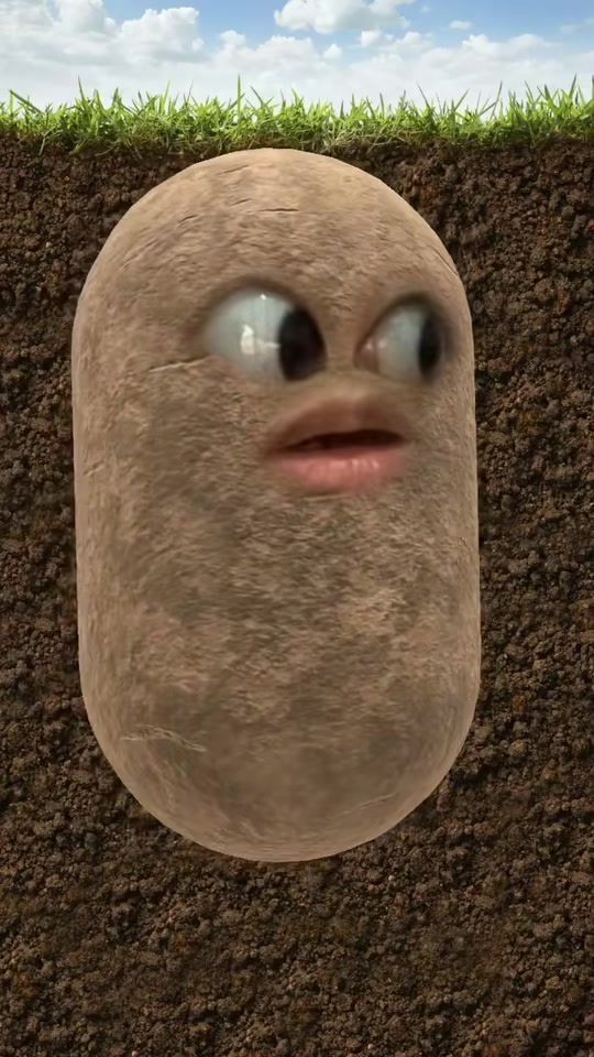 @Spudtacular8