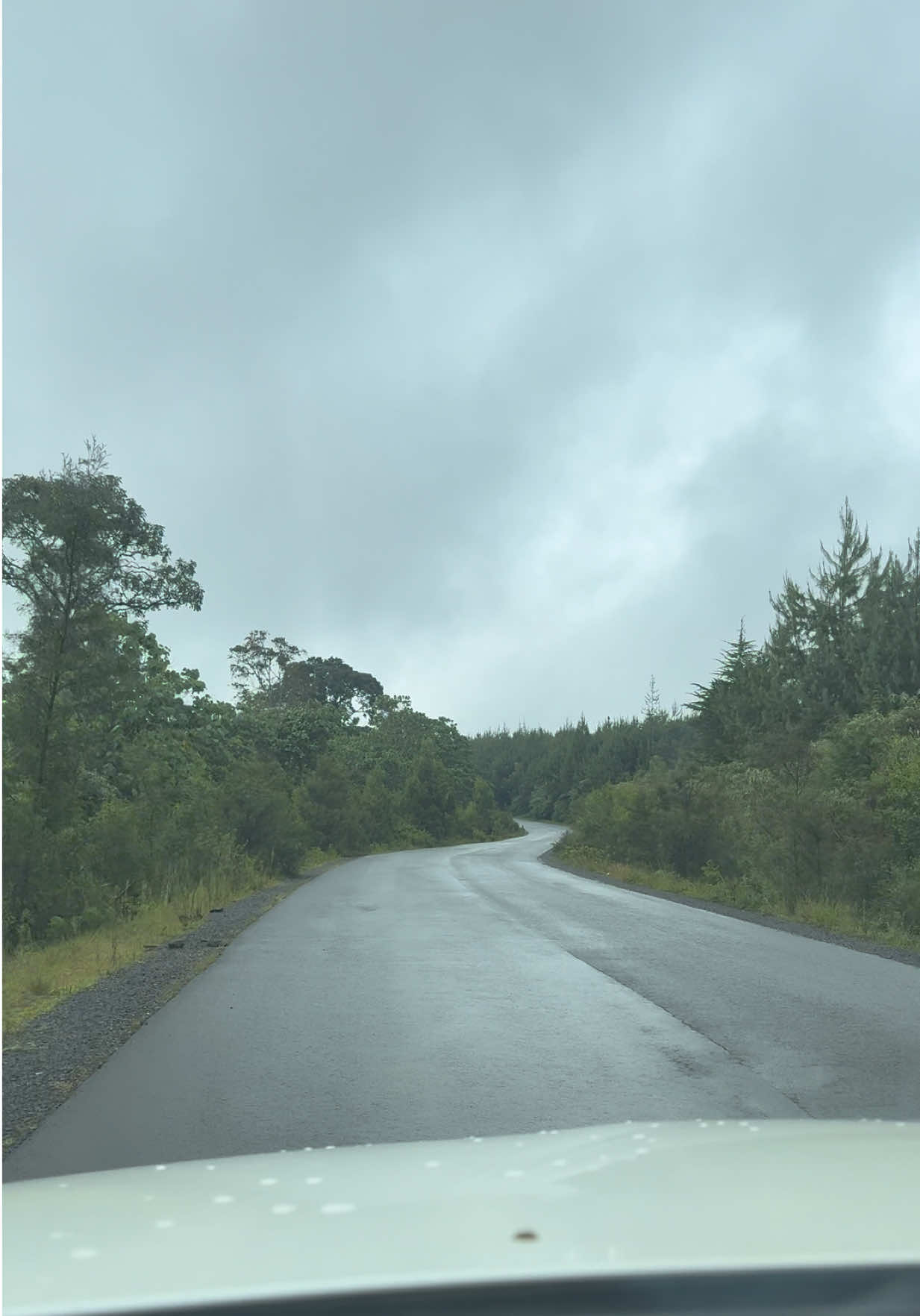 @RoadRecce