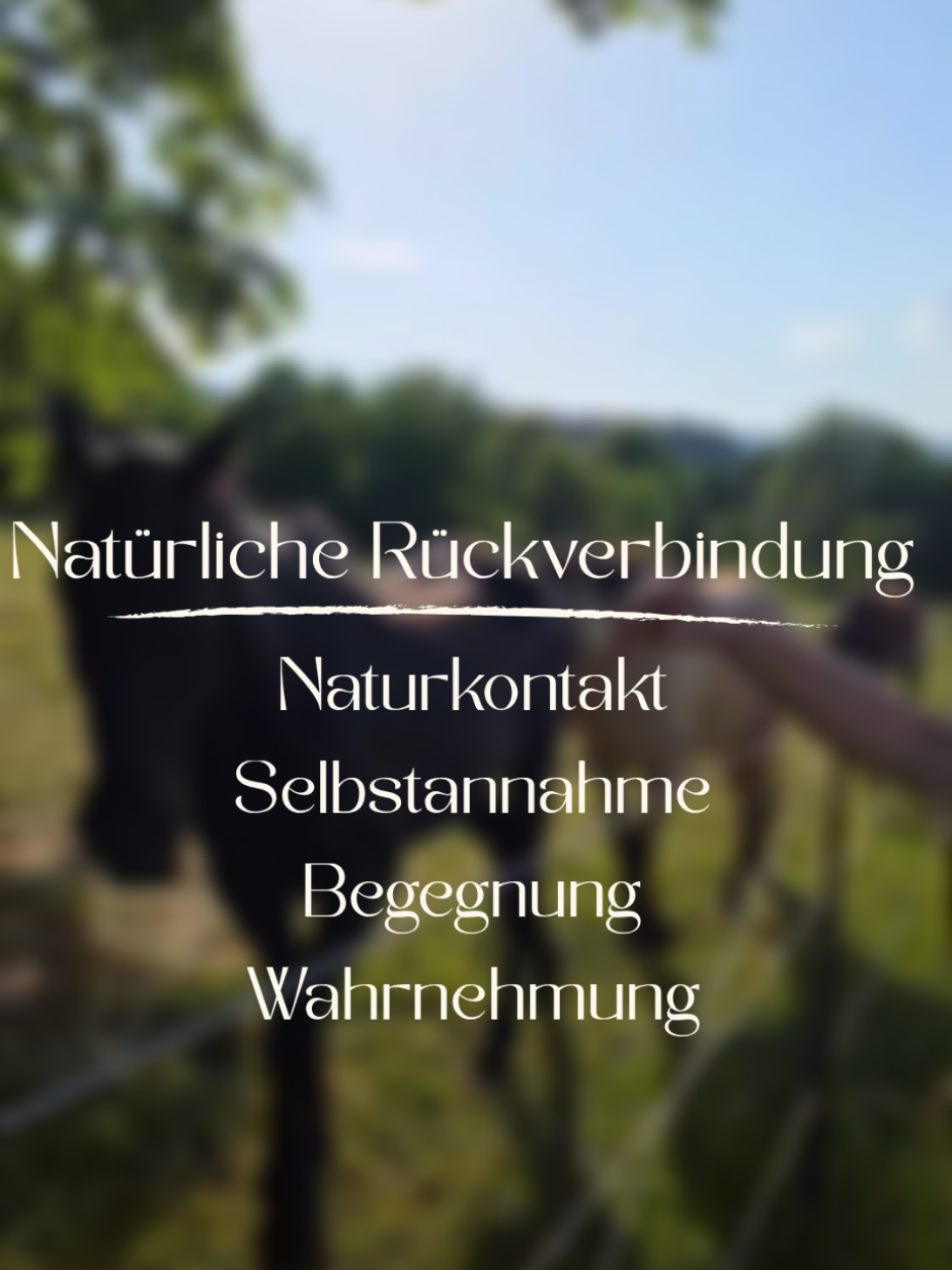 @Franziska Kelch