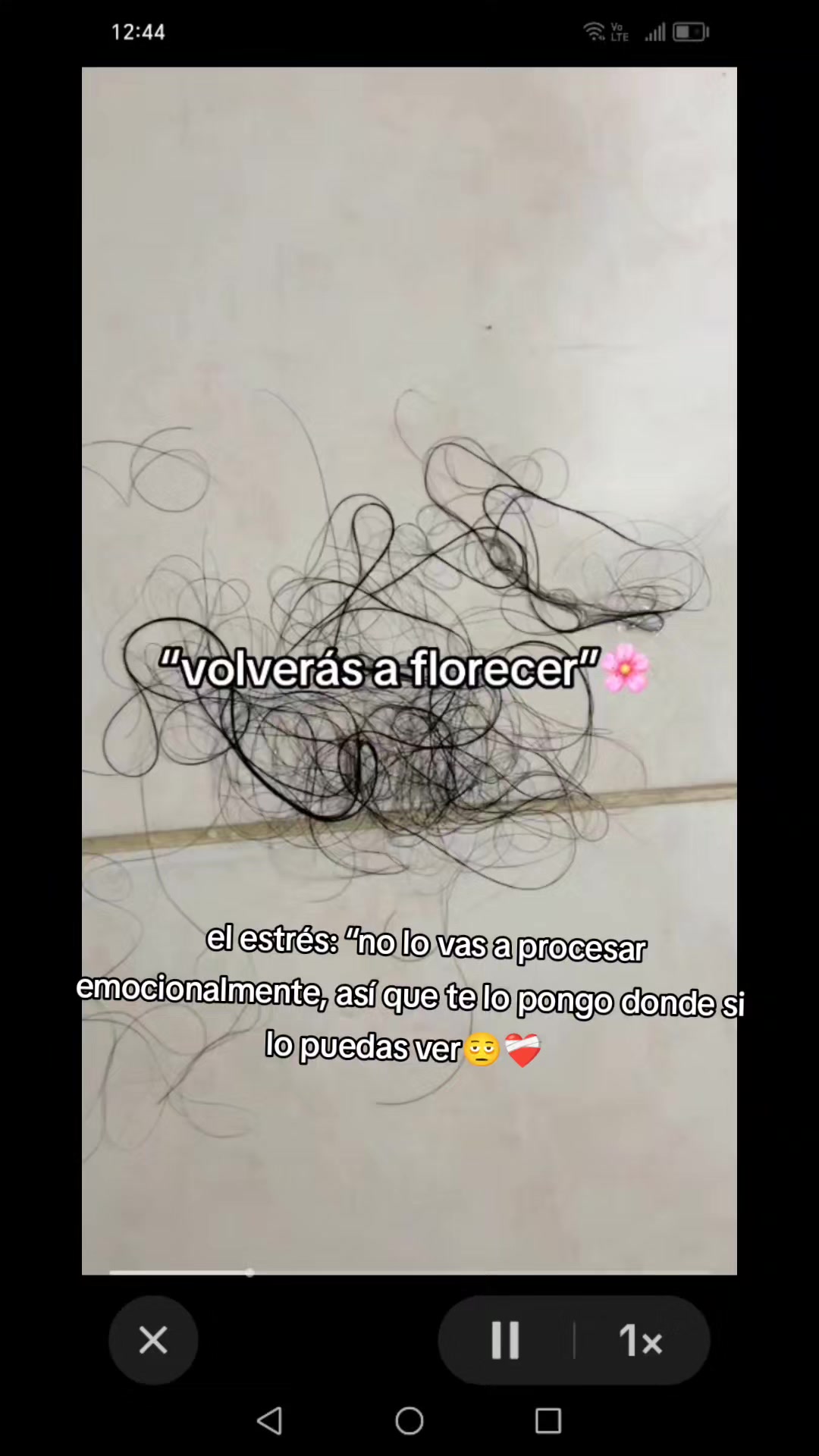 @soraya amaya🪐🌝