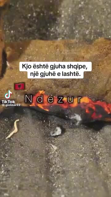 @Arbnore🇦🇱kunder tradhtarve!