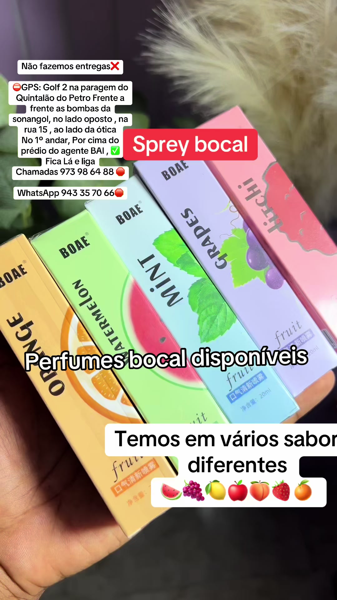 @Casa Das Novidades