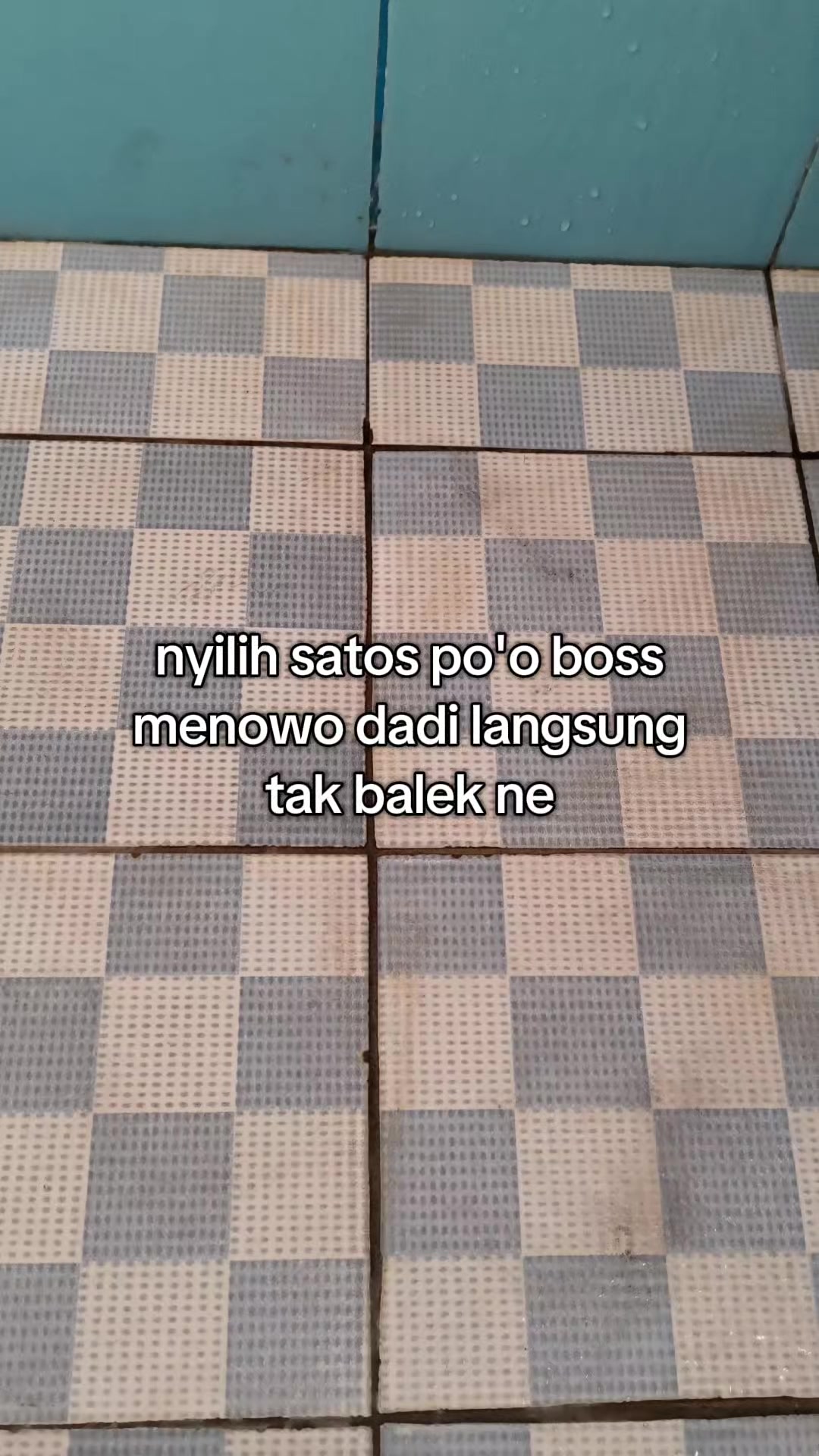 @aliell