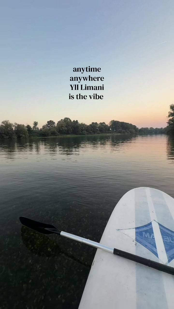 @nensidema