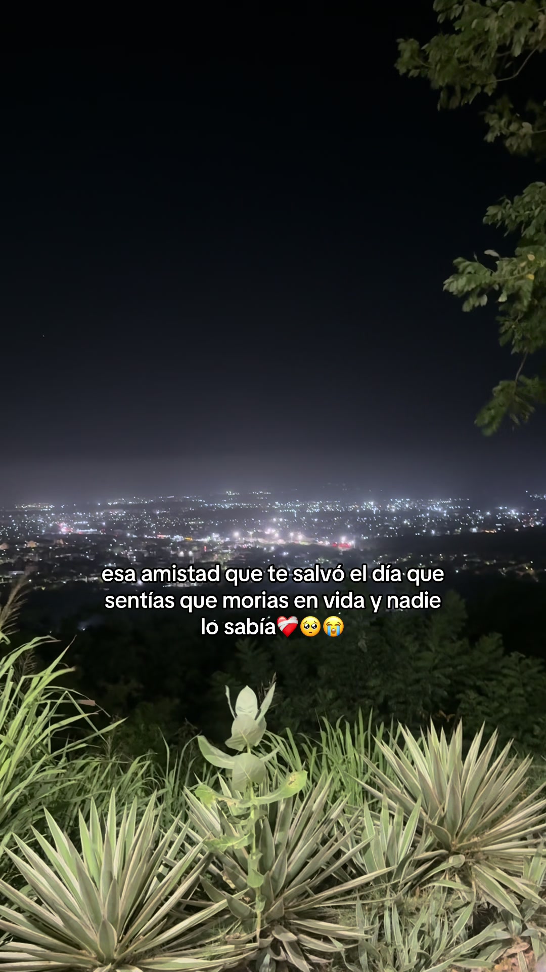 @Valen🌸💕