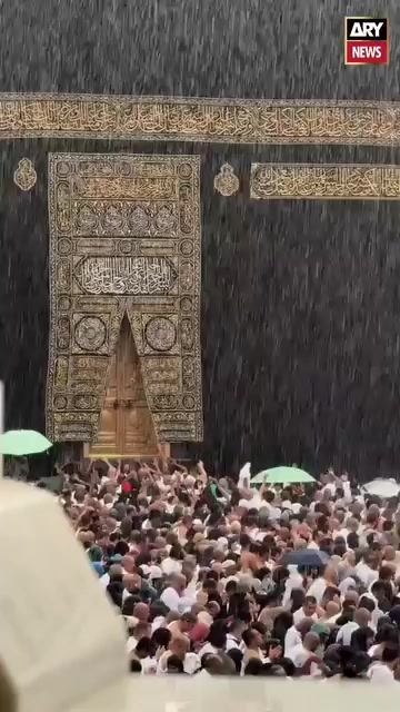 @Raja Shahrukh MSF