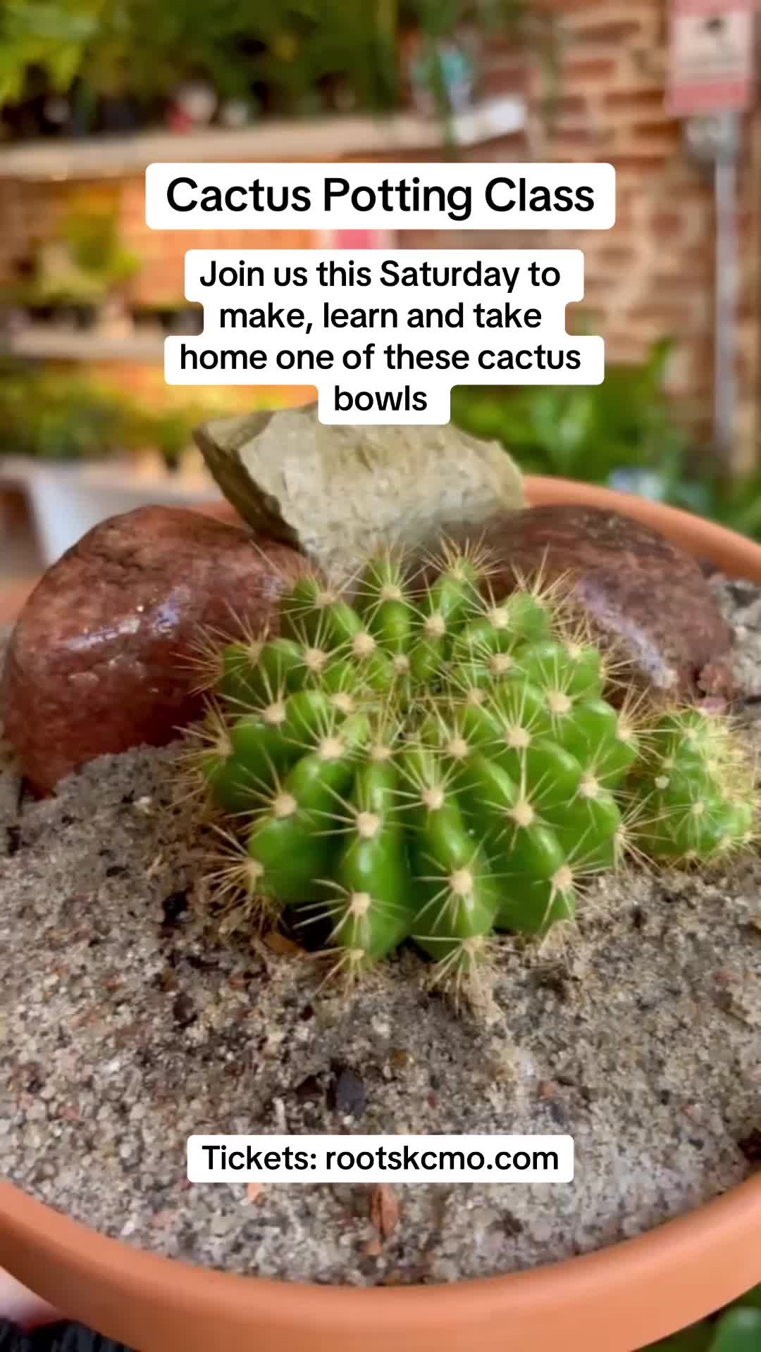 @Rootskc