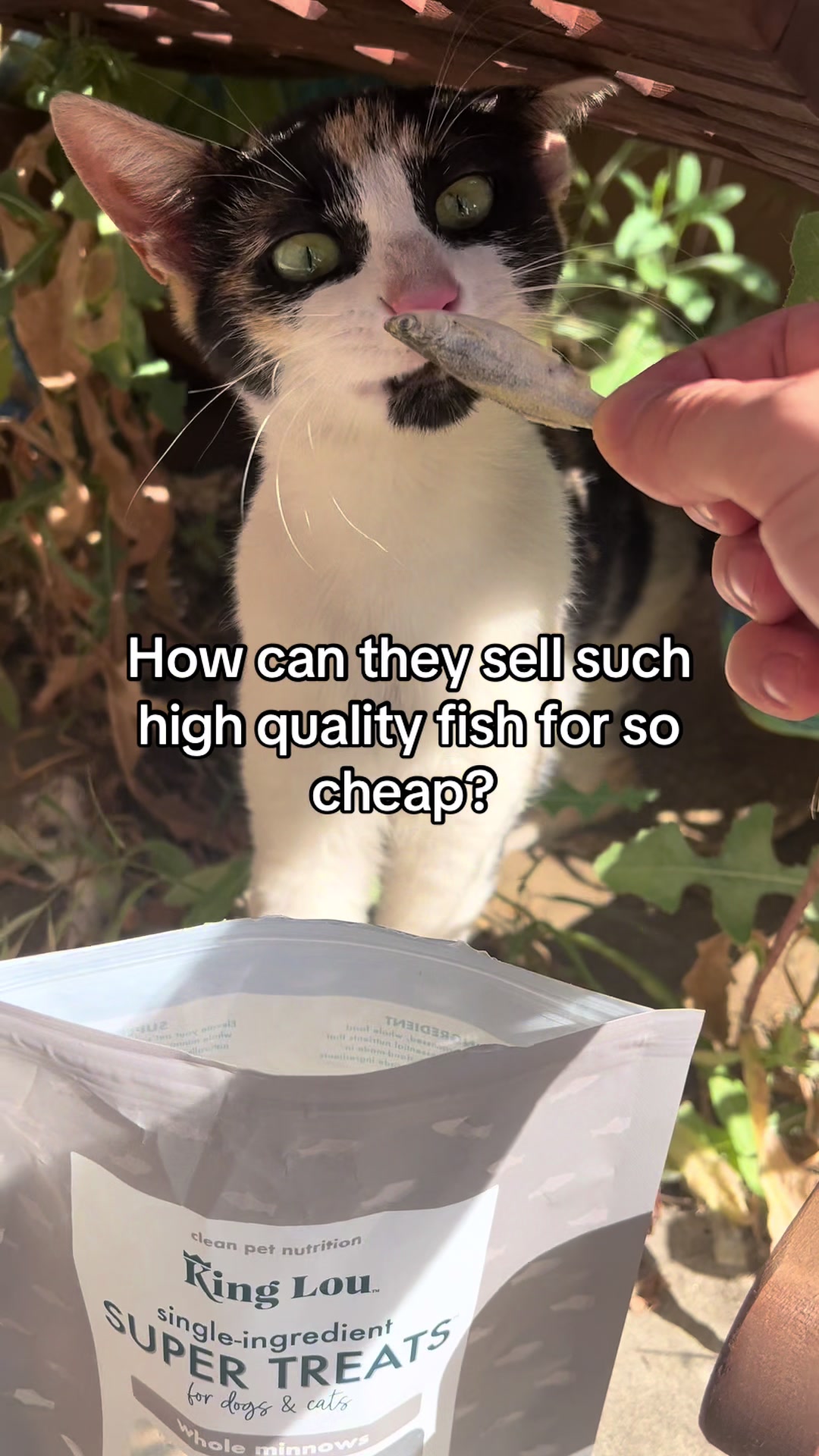 @SwiftDeals