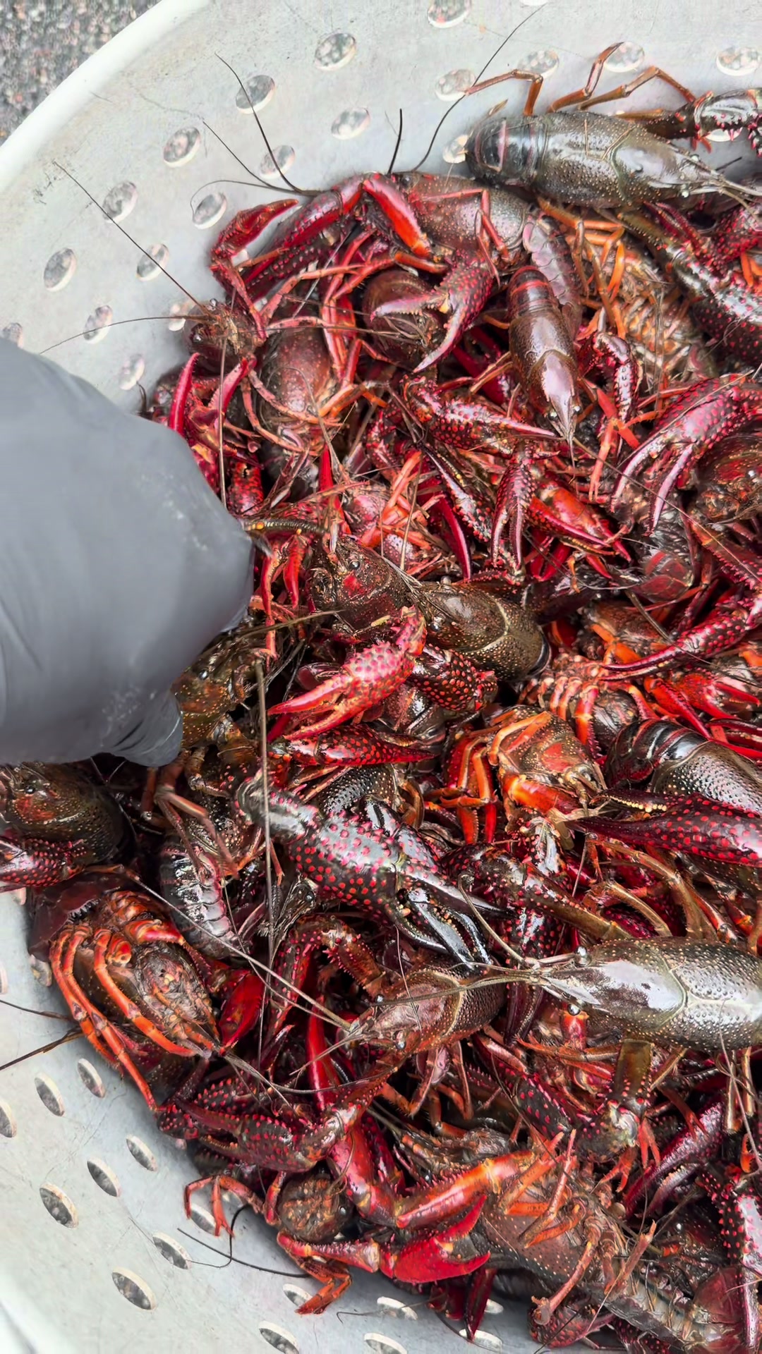 @cajuncrackcrawfish