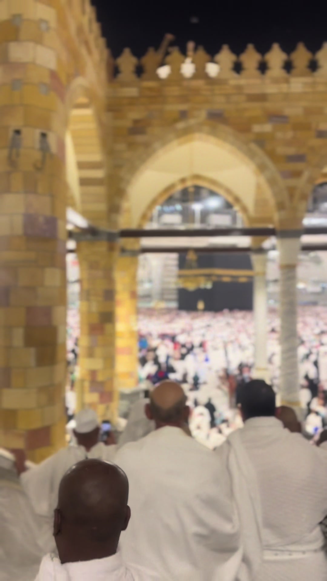 @شوشو و نونو / تعليم وتسليه