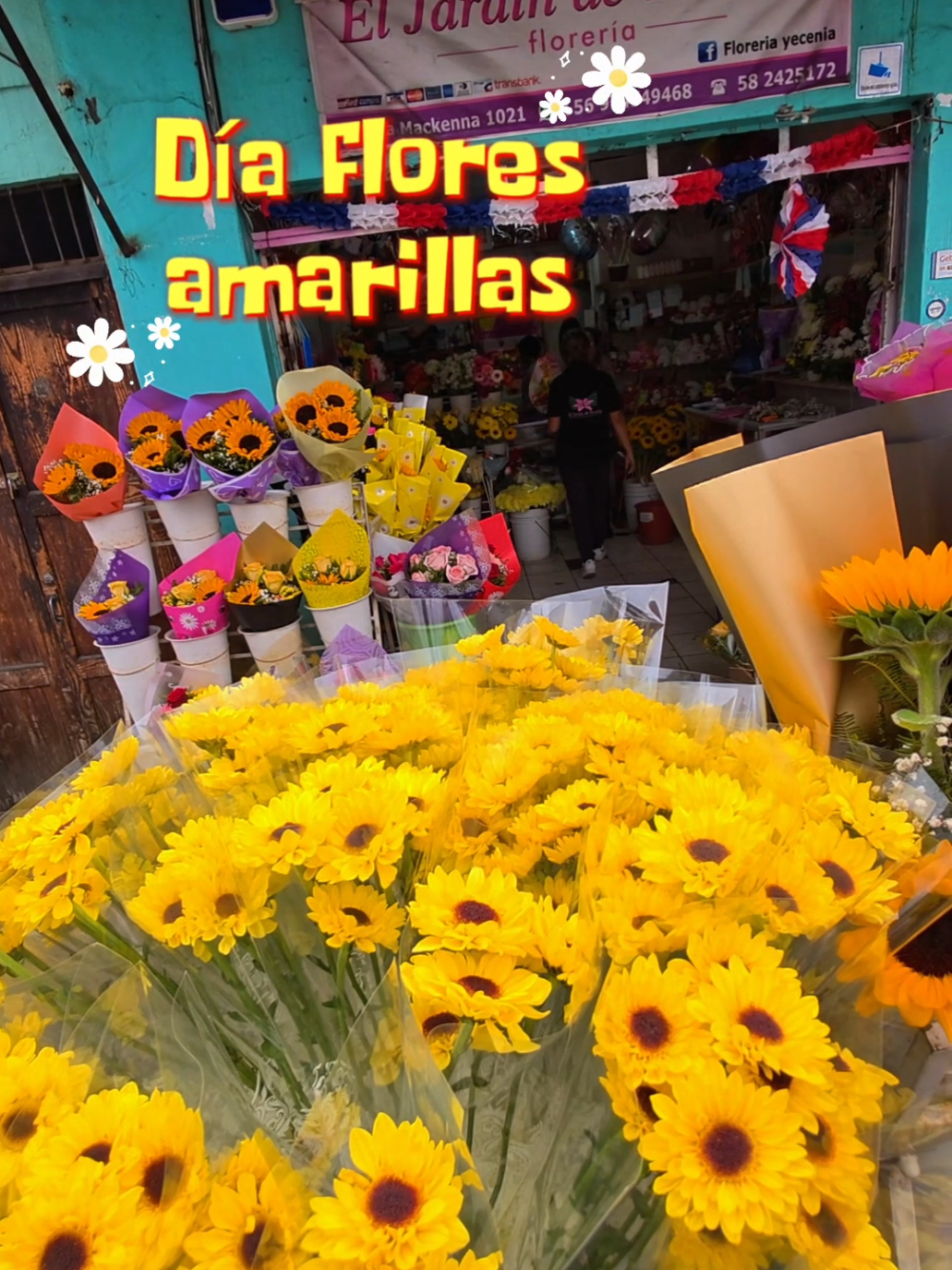 @Arica es Bacán