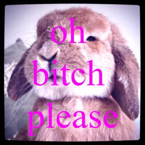 @🐰