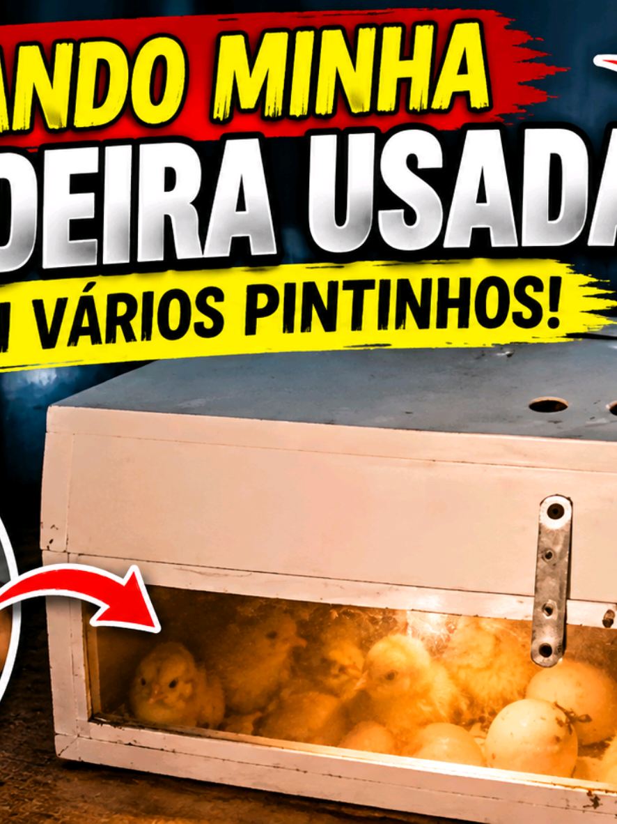 @MUNDO CAIPIRA MIRANDA