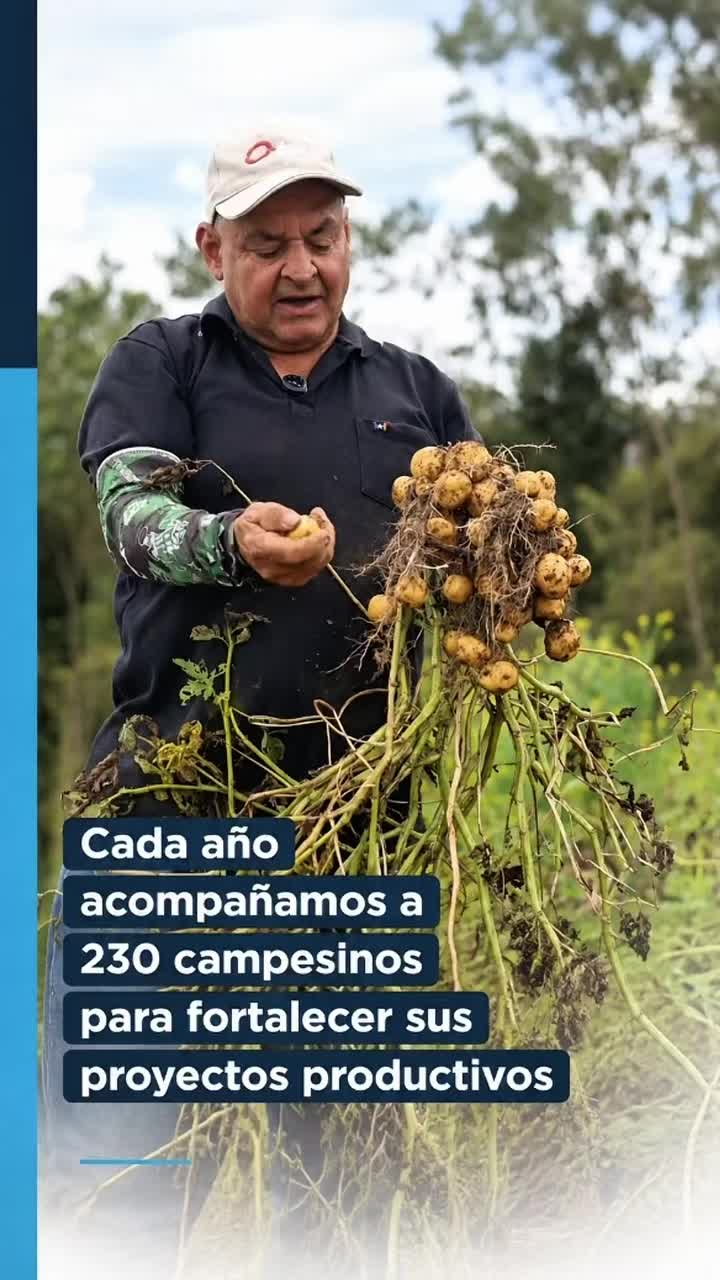 @Alcaldía de Medellín