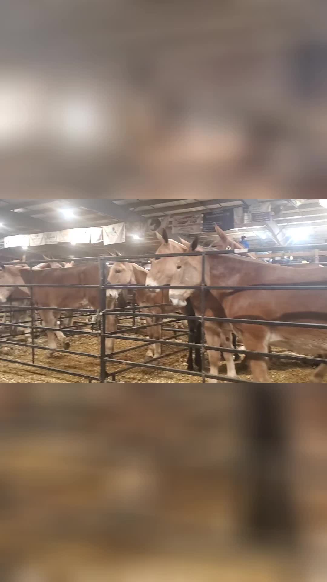 @CircleHEquineSalesLLC