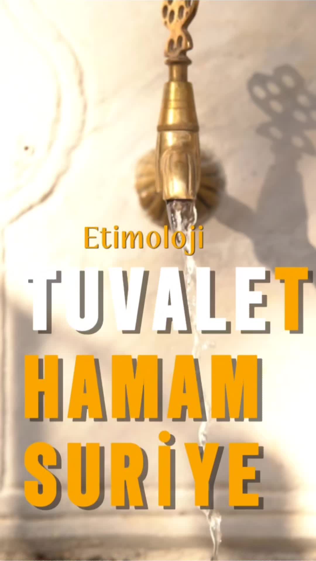 @Kutlu Bilgi