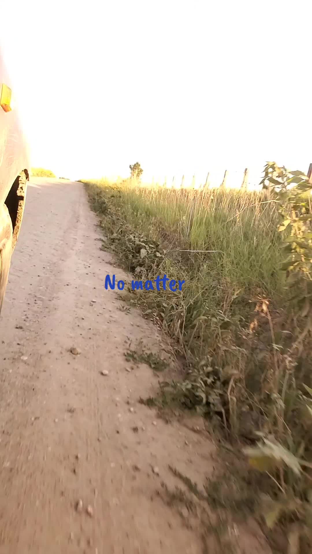 @hoksilanagi