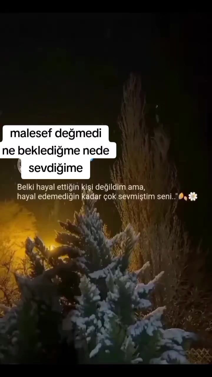 @mavig&ouml;l