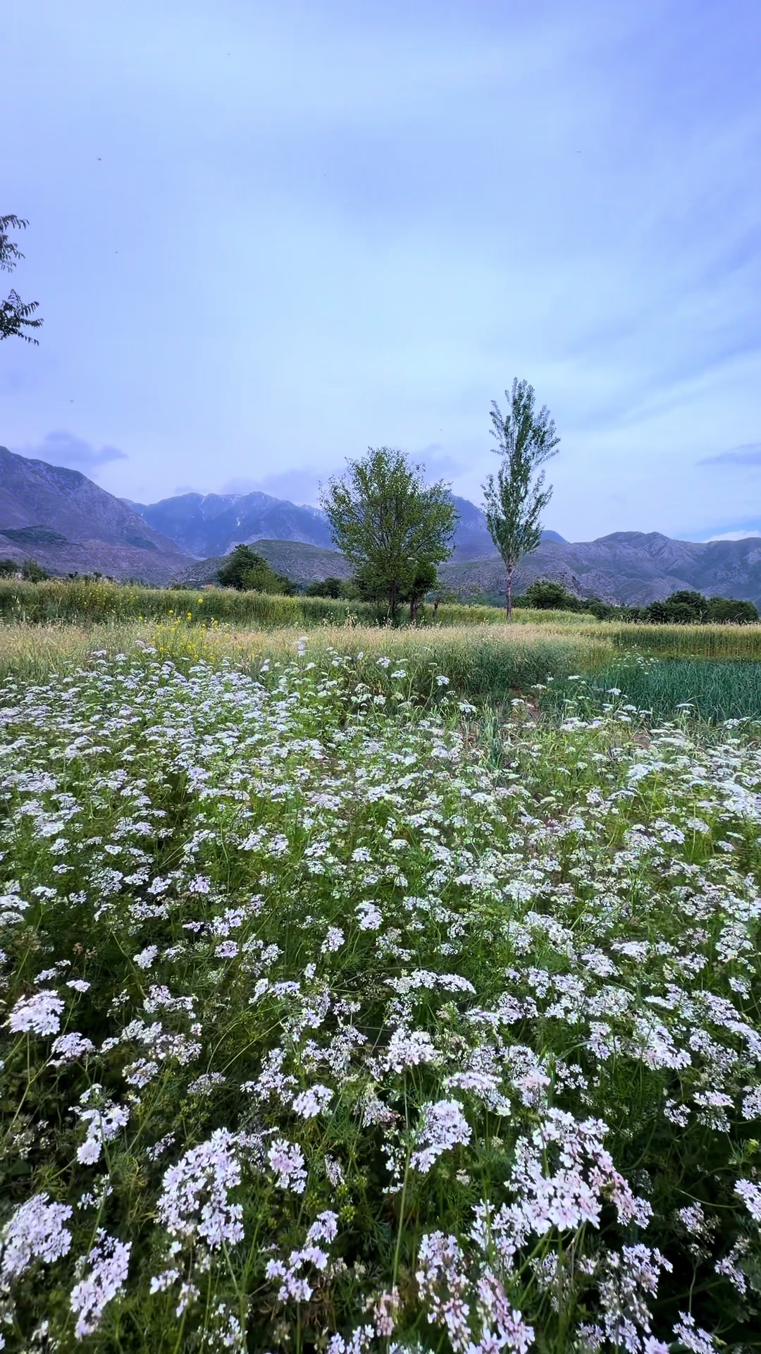 @Parachinar View