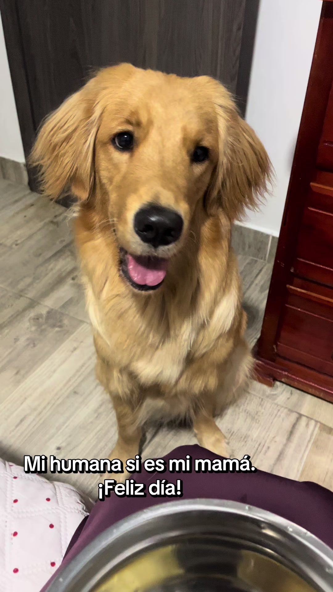 @Mila 🐶