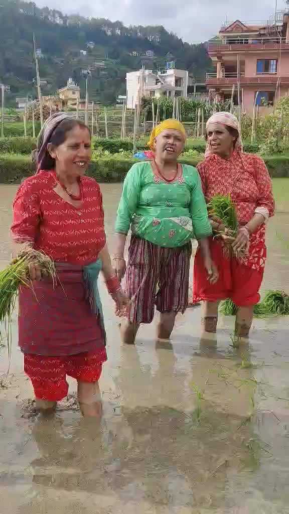 @Pramila Koirala Lamichhane