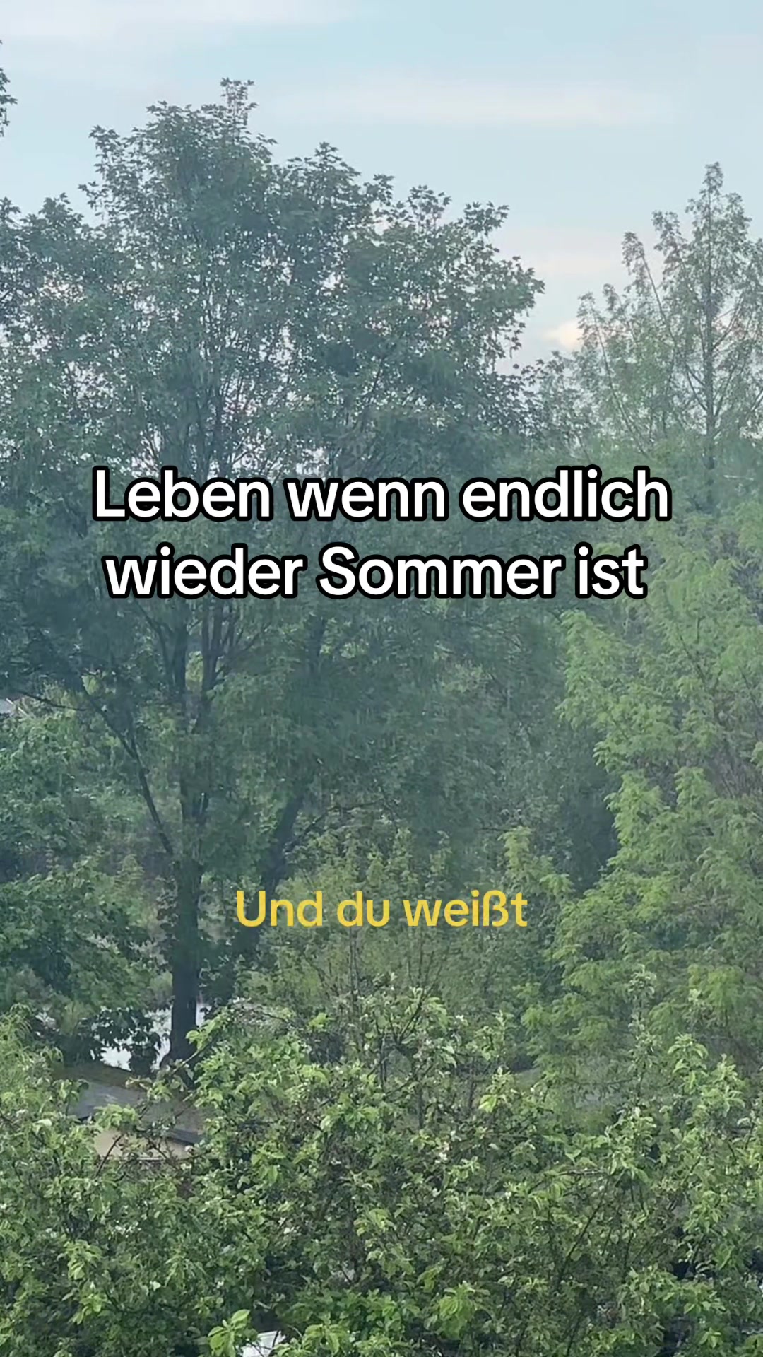 @5Raumfenster