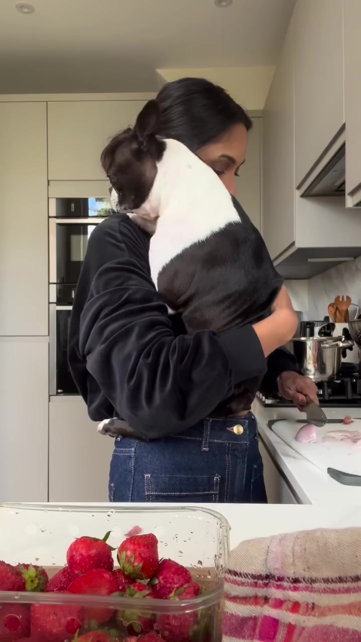 @boston.terrier.shop