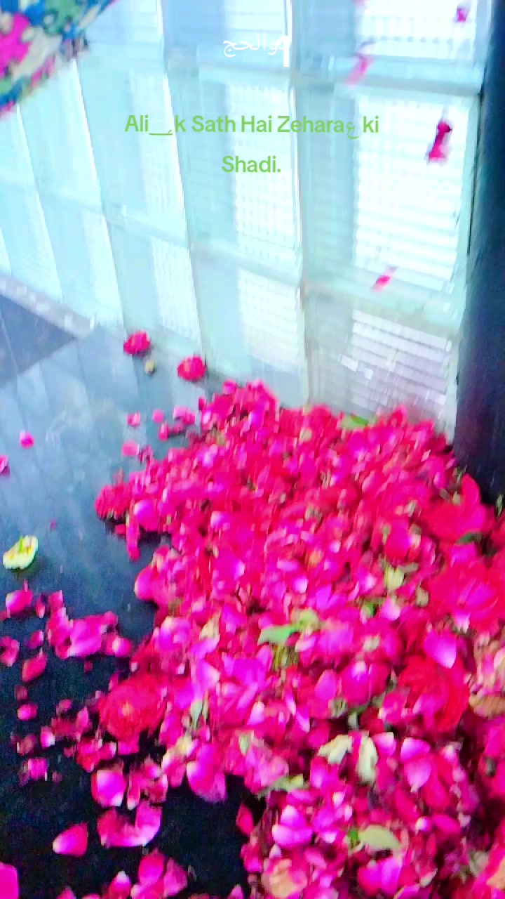 @میری زندگی ہے آپ شاہ جی 💯♥️✨