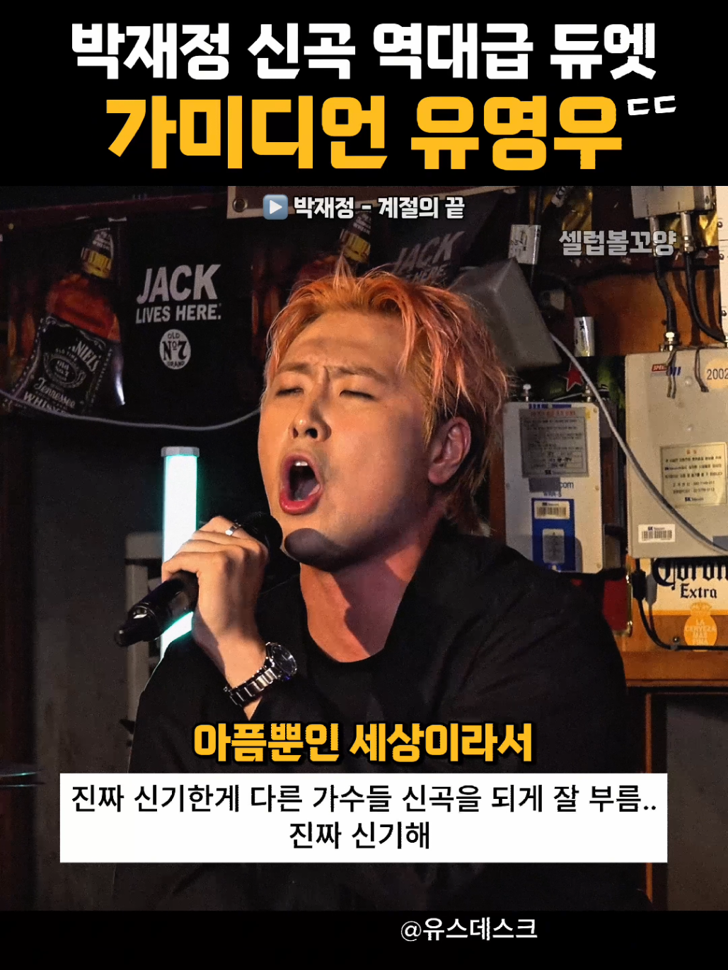 @셀럽볼꼬양