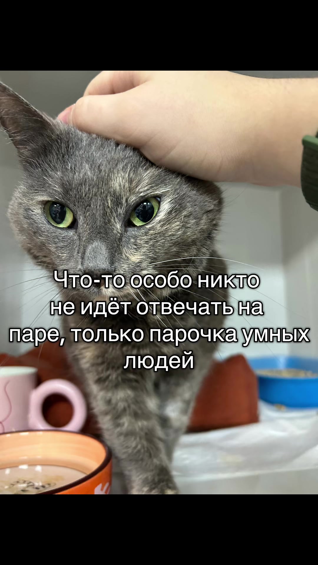 @Бельферг