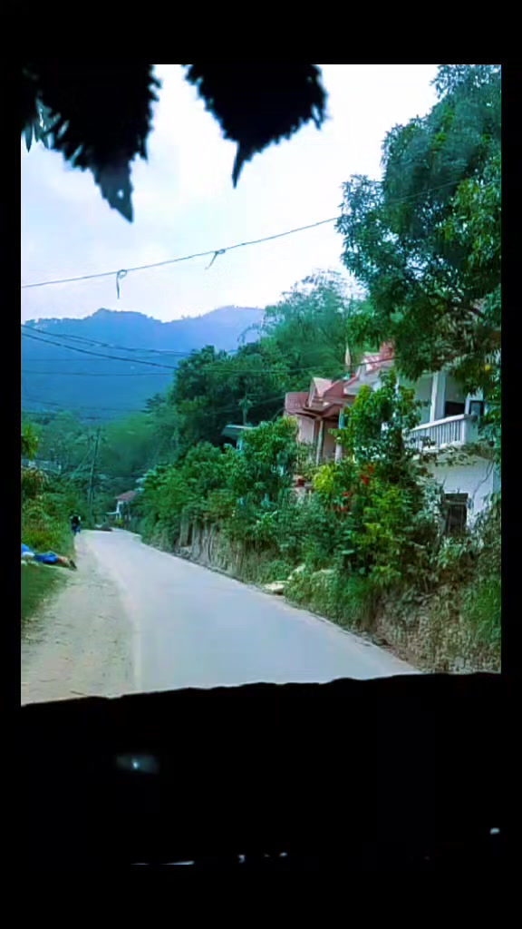 @Bipin Basnet