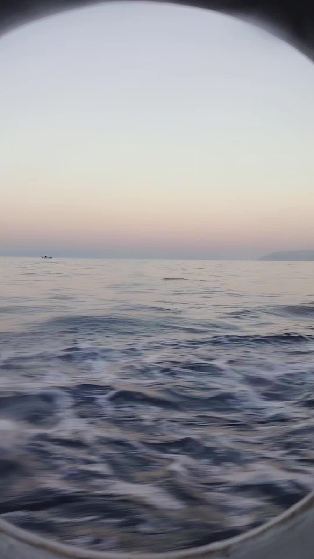 @tanjaa5rs⚓