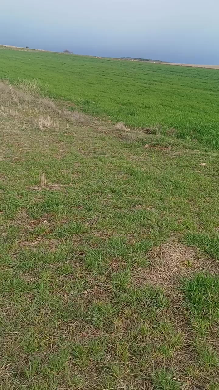 @Deniz Akpınar