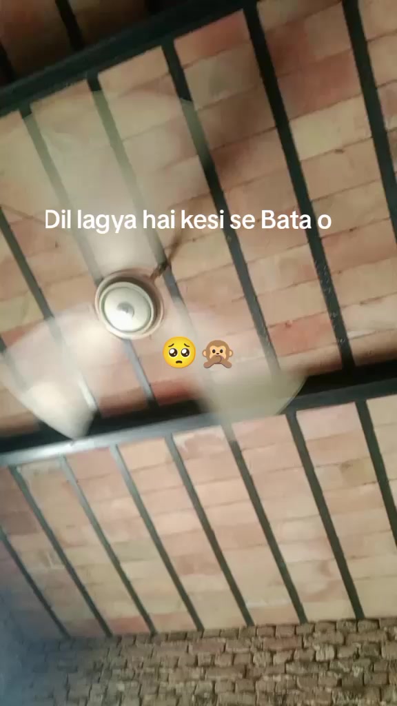 @sara 💯🥰😘