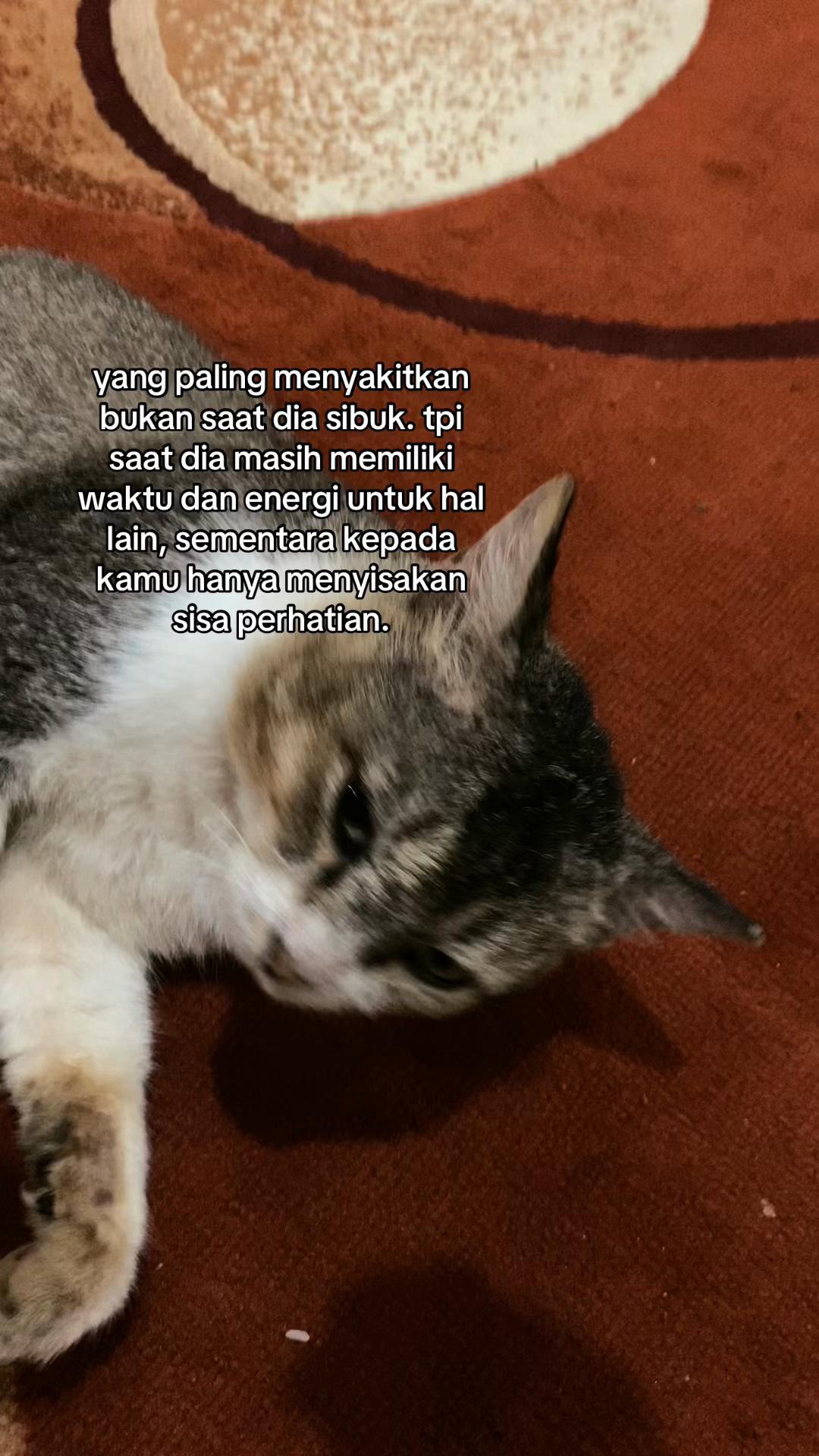 @tamaa