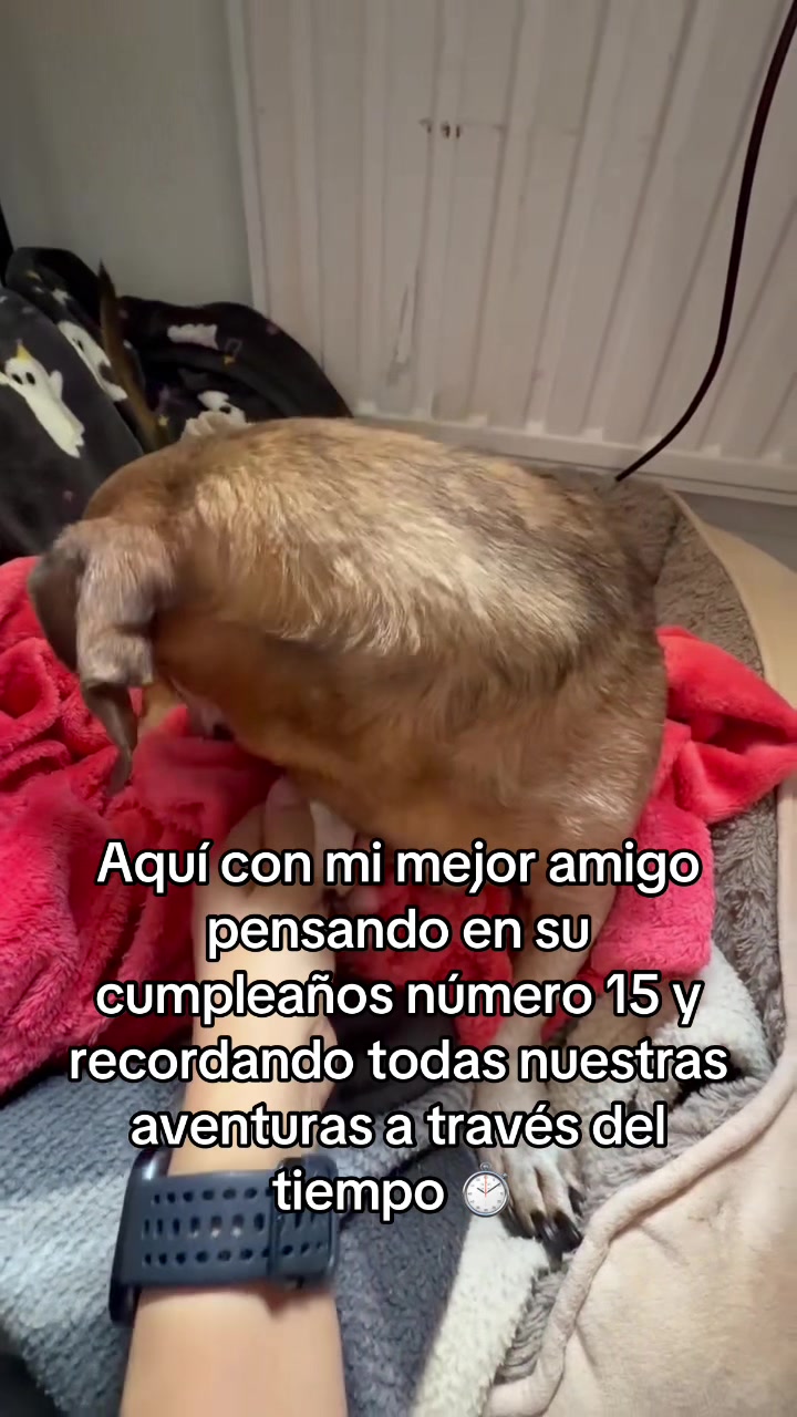 @Chilena Petite