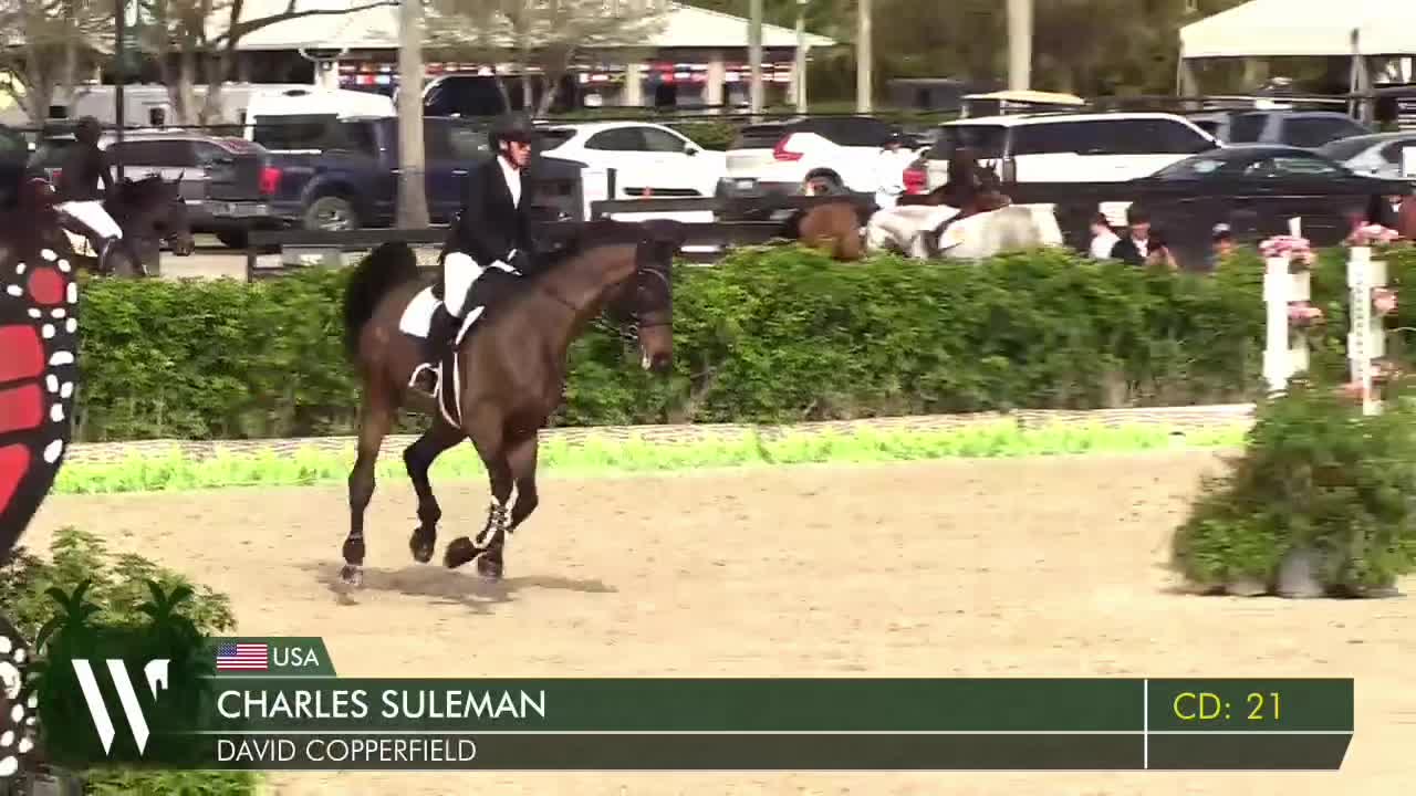 @Charles Suleman