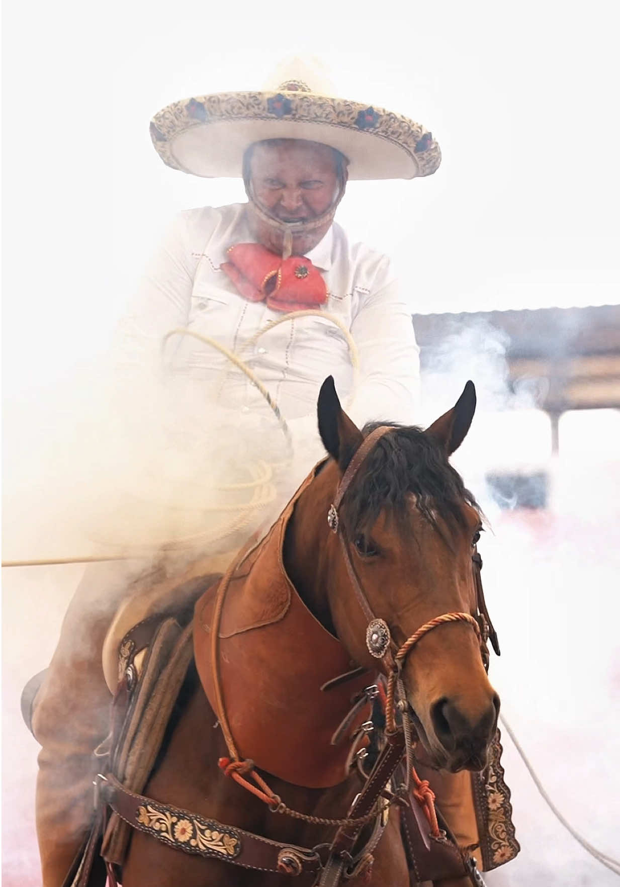 @HerenciaCharraFotografia