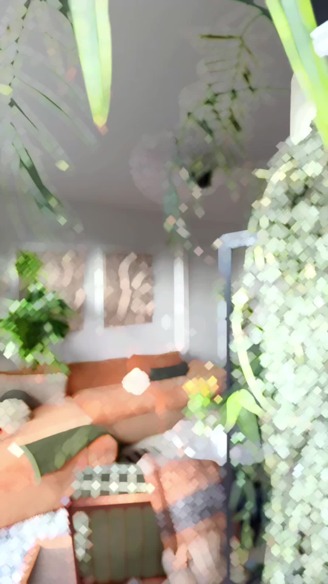 @Cyril&rsquo;s Plants | Cats | DIY 🌿