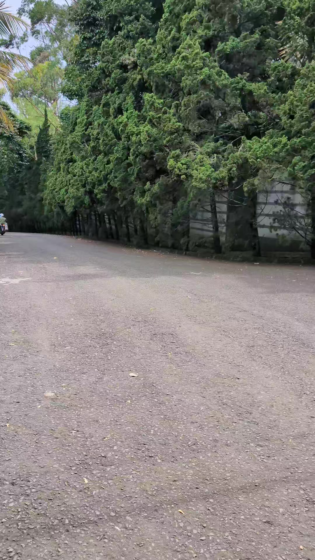@street.bdgstory