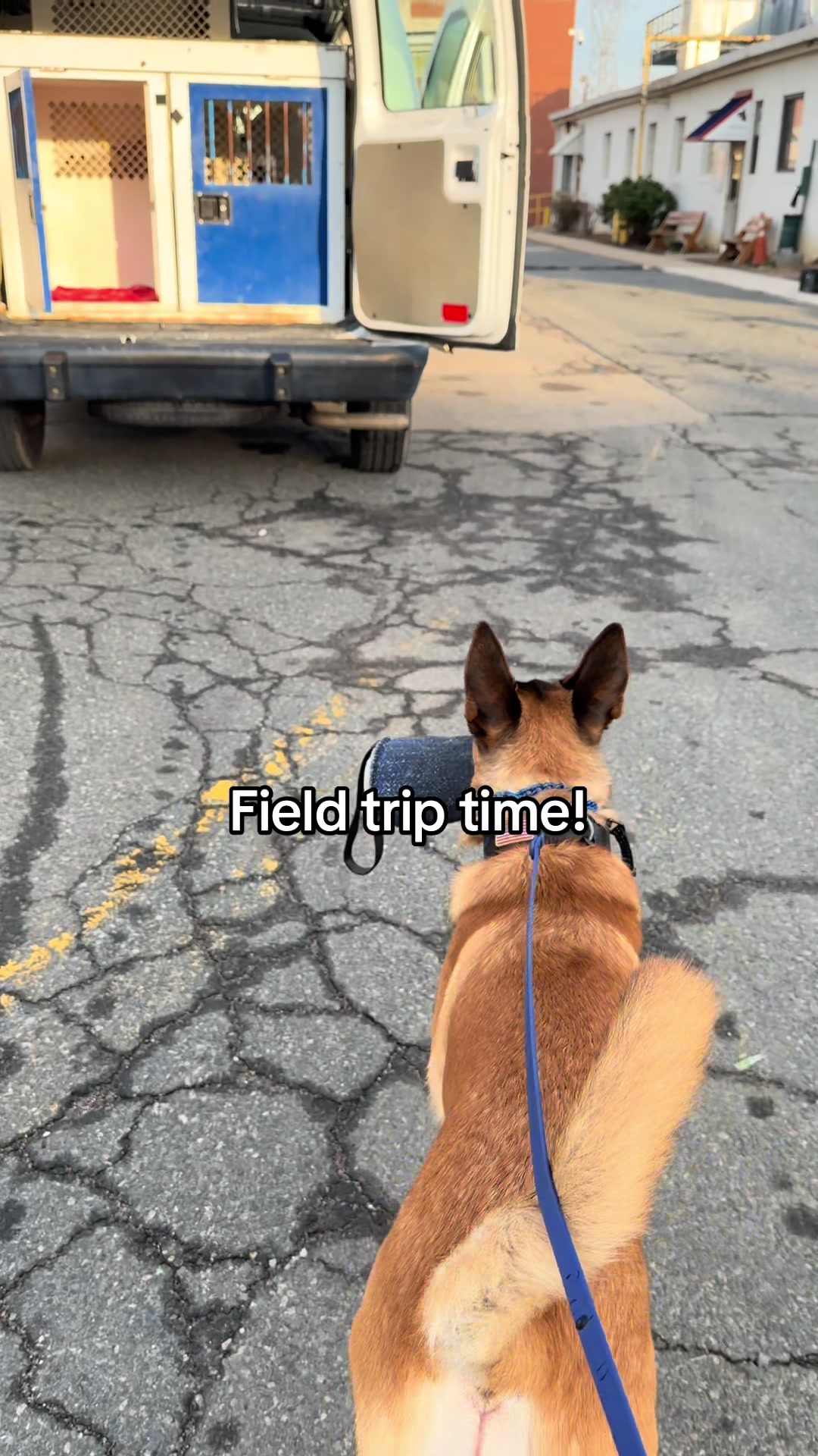 @K9 Obi-Wan, Ahsoka & Rex