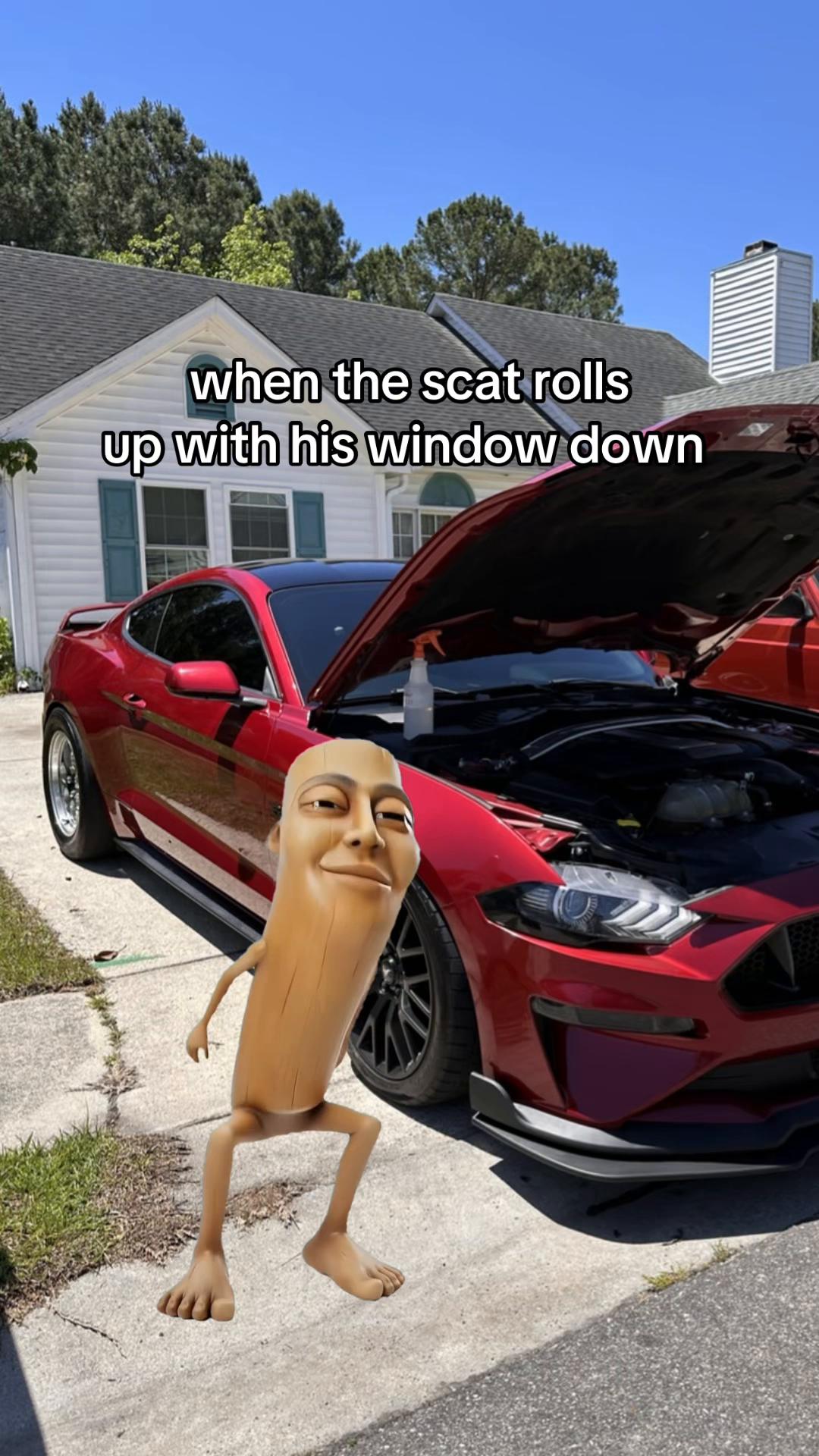 @nickbaerwolf