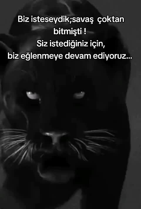 @🦂🦂AKREP 🦂🦂